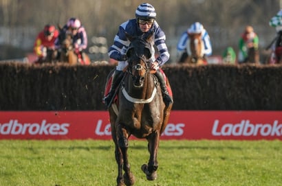 20 Horses To Follow for the 2025/26 Jumps Season (Part 2: 11 - 20)