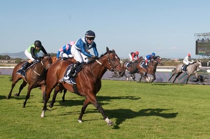 kenilworth racecourse