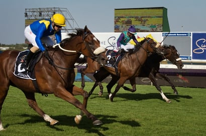 kenilworth racecourse