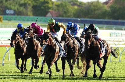 king charles tips