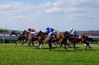 king george qatar stakes
