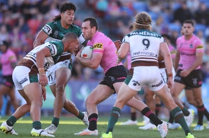 knights panthers nrl