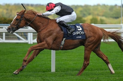 Kyprios drifts in Ascot Gold Cup betting following injury scare