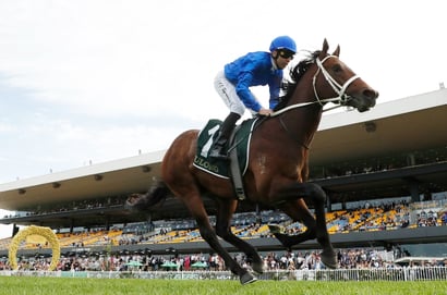 Golden Rose Rewind - The Last Five Winners Revisited