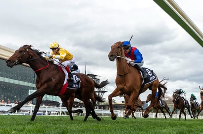 Underwood Stakes - Relive the Last Five Editions