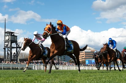 From Anamoe to Autumn Boy - Relive the Last Five Caulfield Guineas