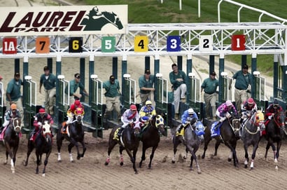 2026 Preakness Stakes Tips - Summers' star to go Solo at Laurel