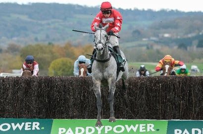 Champion Chase 2026 Tips - Two contenders to consider at Cheltenham