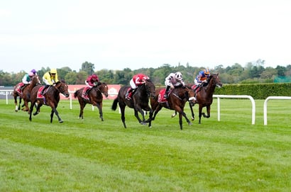 leopardstown