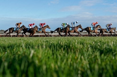 leopardstown december