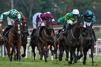 leopardstown hurdle