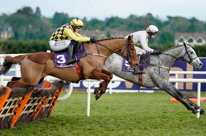 2025 December Hurdle Tips - Could Willie's second string upset the two mares?