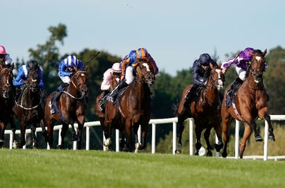 2025 Irish Champion Stakes Tips - Burke's raider offers Royal value at Leopardstown
