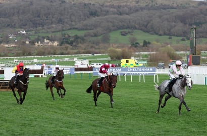 Champion Hurdle Result 2026 - Lossiemouth makes it four-from-four at the Festival with emphatic win