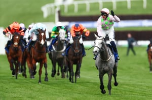 Champion Hurdle 2026 Tips - Willie Mullins bingo could decide Tuesday's feature