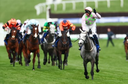 Champion Hurdle 2026 Tips - Willie Mullins bingo could decide Tuesday's feature