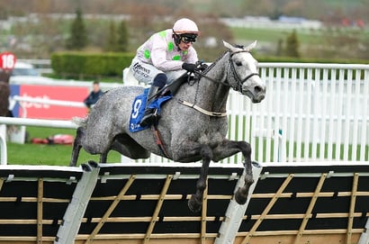 2025 December Hurdle Odds - Lossiemouth odds-on to claim another Grade One
