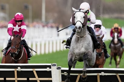 2026 Punchestown Champion Hurdle Tips - Any value against Lossiemouth on Friday?