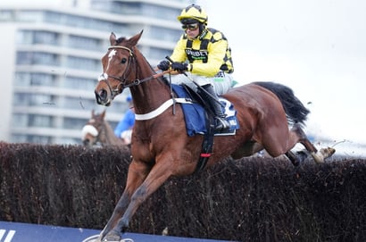 2026 Arkle Challenge Trophy Odds - Lulamba leads Kopek Des Bordes in Festival betting