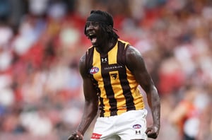 Essendon Bombers vs Hawthorn Hawks Tips and Prediction AFL Round 1 2026