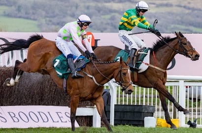mares' chase cheltenham