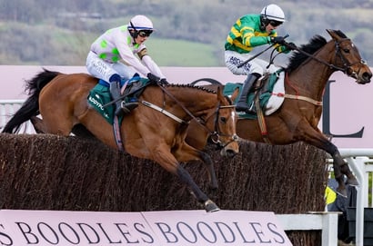 mares' chase cheltenham