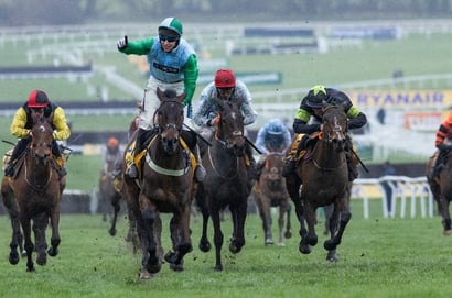 mares' novices hurdle cheltenham