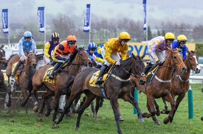 mares novices' hurdle cheltenham