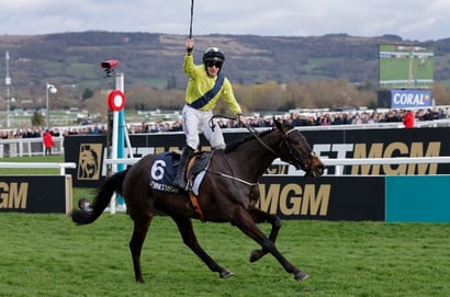 "We're just going to be out of time" - Marine Nationale ruled out of Champion Chase defence