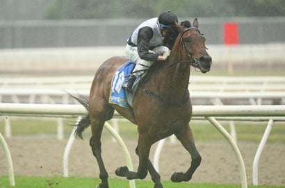 Coonamble Betting Tips for October 11, 2026 - Reset The Jazz Can Hit the Right Note