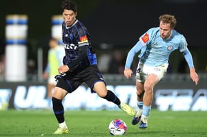 melbourne city a-league auckland