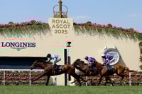 merchant ascot