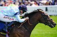 merchant ascot