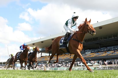 The Metropolitan 2026 Betting Odds - Randwick Staying Market Takes Shape