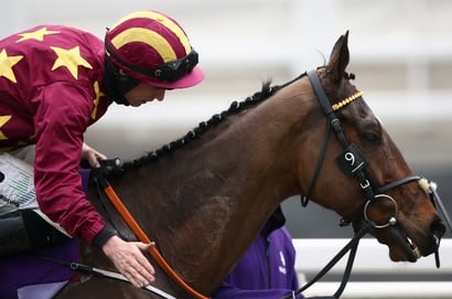 Cheltenham Festival 2026 Ante-Post Tips - Can Henry's star challenge Final Demand in the Brown Advisory?