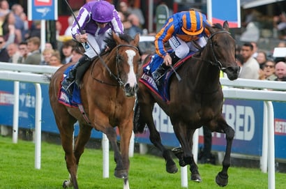2025 Yorkshire Oaks Tips - Any value against Minnie Hauk at York?