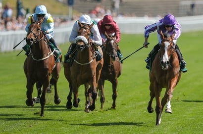 Minnie Hauk Epsom Oaks Profile & Betting Odds
