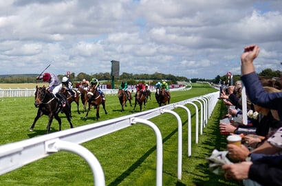 molecomb stakes