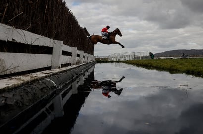 2025 Coral Gold Cup Odds - Myretown favourite over Resplendent Grey at Newbury