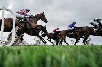 naas hurdle