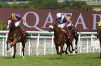 nassau stakes