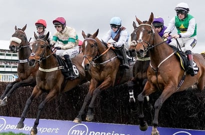 national hunt chase cheltenham