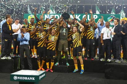 nedbank cup trophy