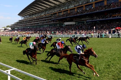 never let go ascot