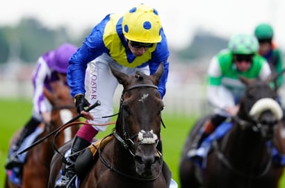 2026 Hungerford Stakes Odds - Never So Brave leads Coppull in Newbury betting
