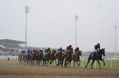 newcastle racecourse plate