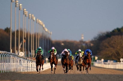 newcastle racecourse uk