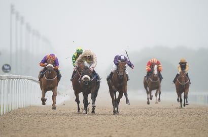 newcastle racecourse uk