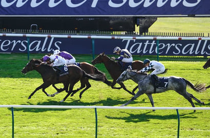 newmarket