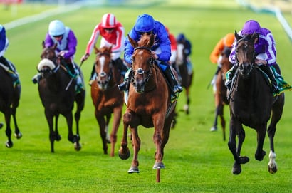 newmarket